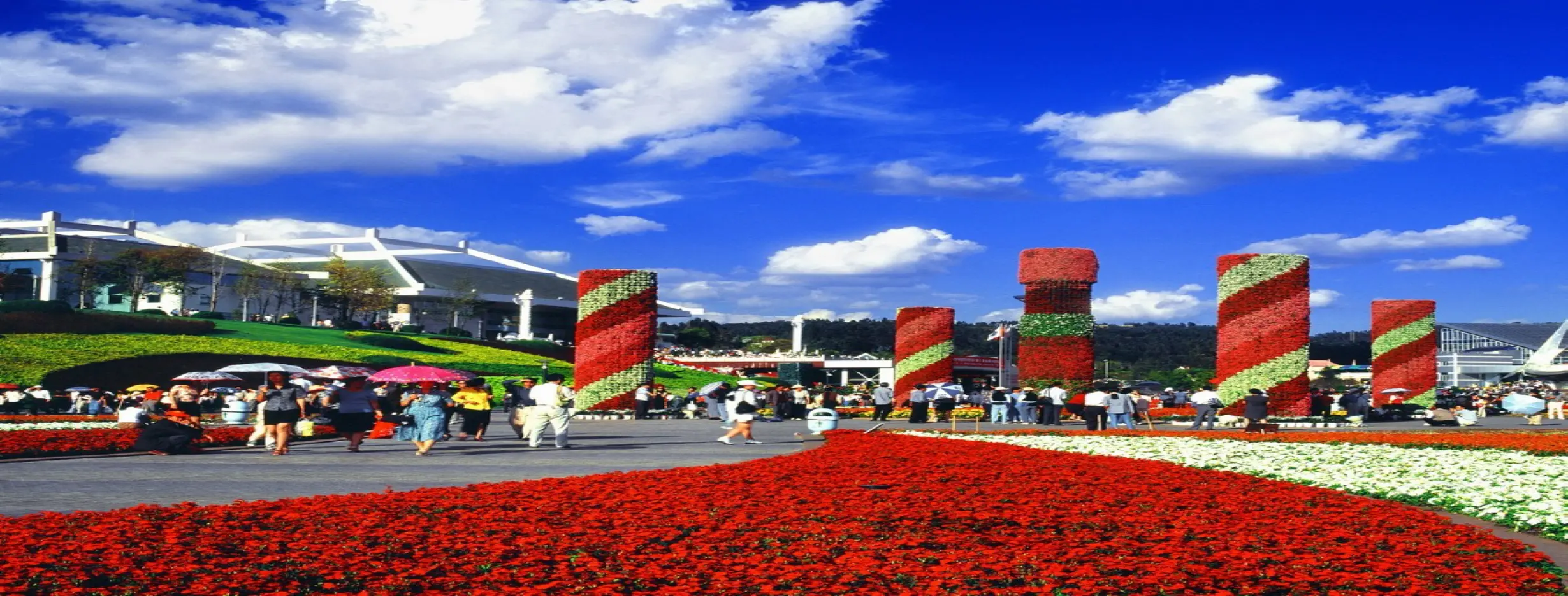 Image for Kunming World Expo Garden